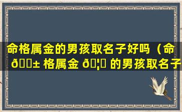 命格属金的男孩取名子好吗（命 🐱 格属金 🦆 的男孩取名子好吗怎么取）